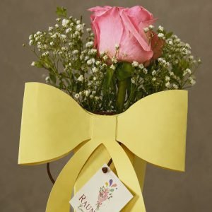 Cascading Bow Bloom
